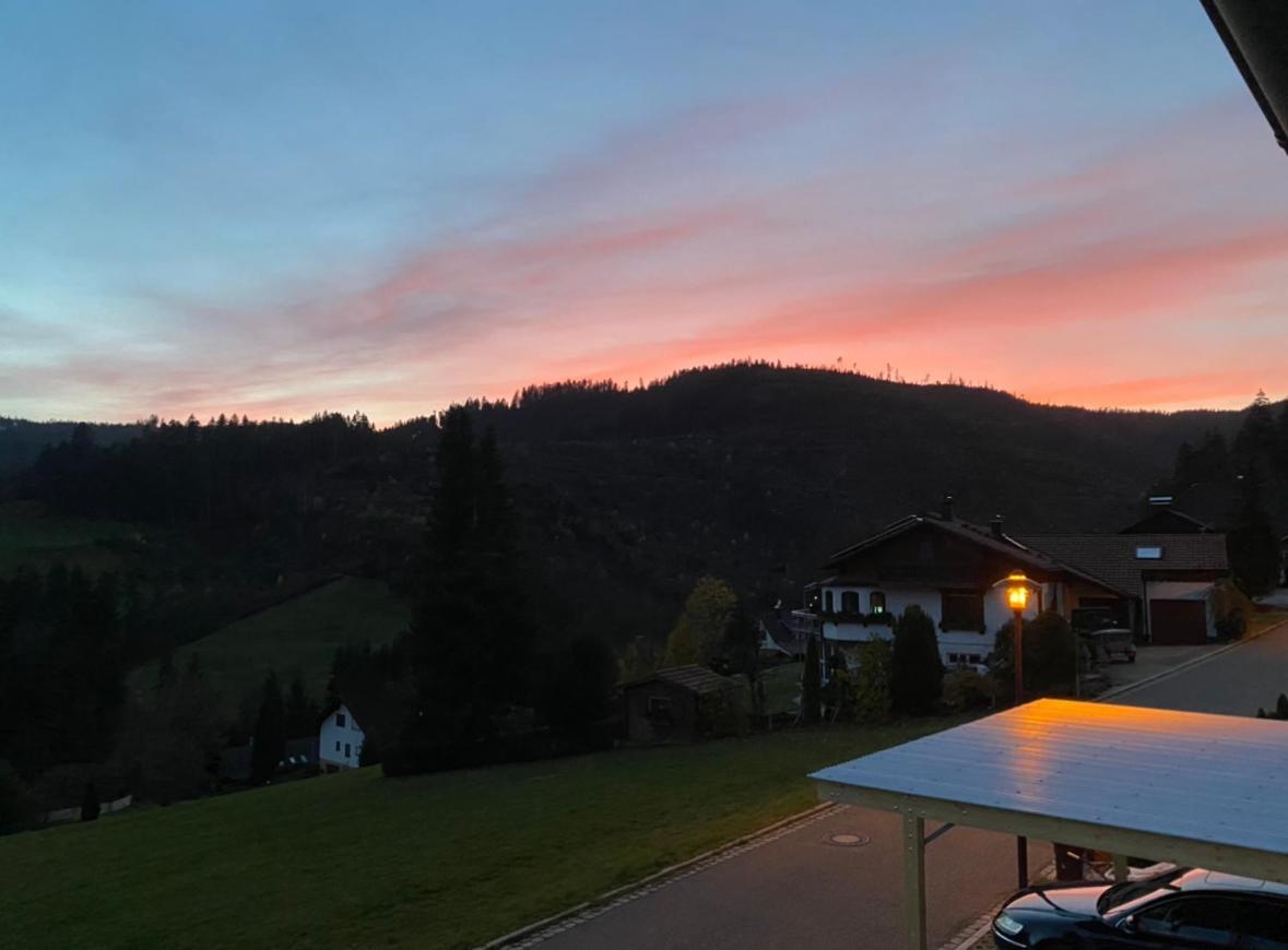 Natalie Lägenhet Baiersbronn Exteriör bild