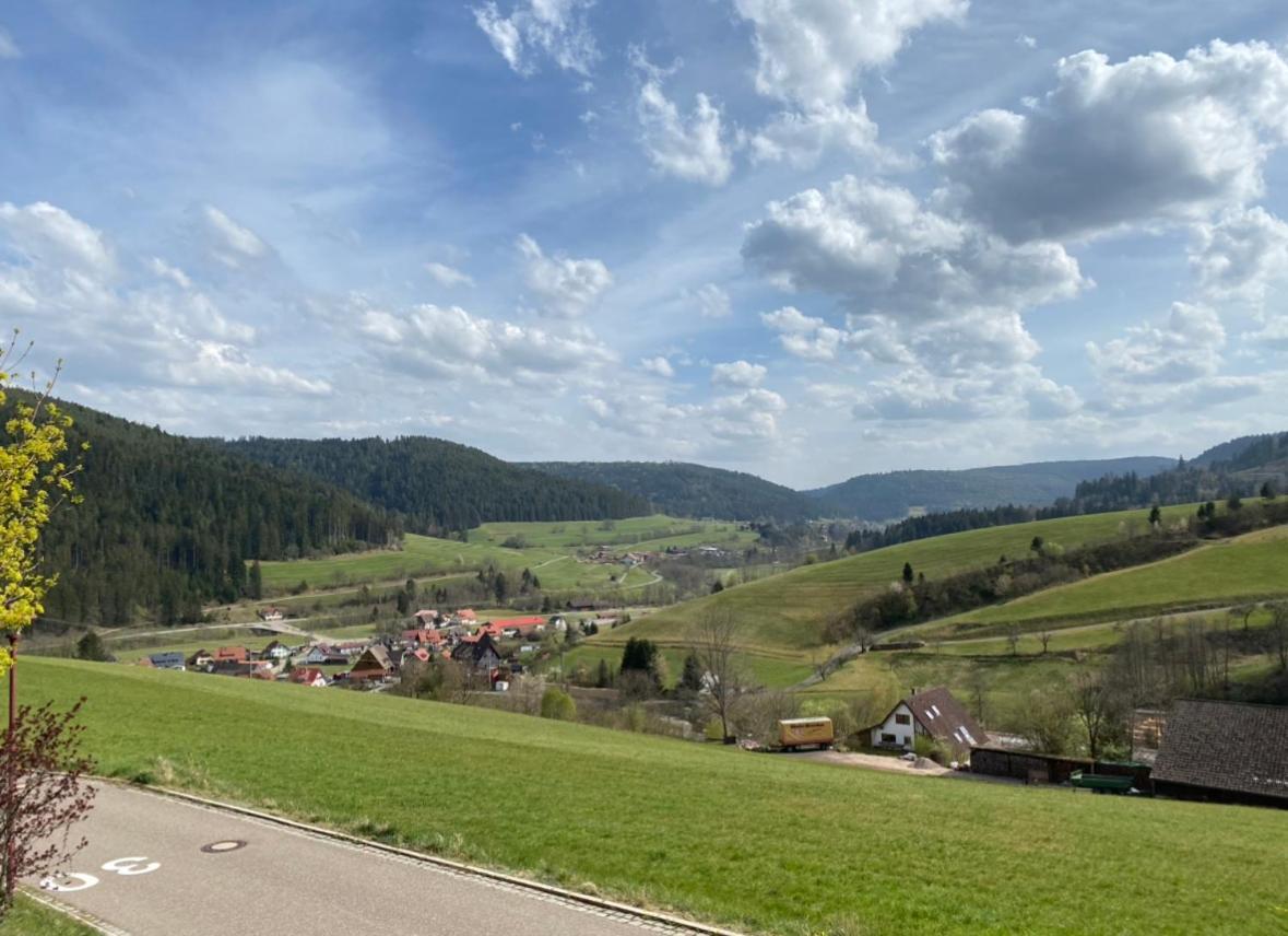 Natalie Lägenhet Baiersbronn Exteriör bild