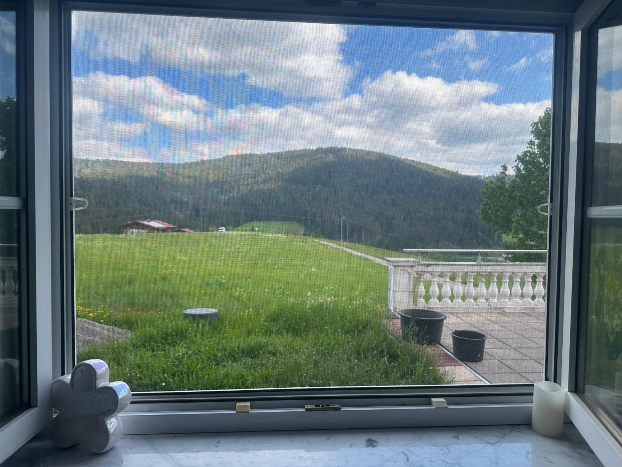 Natalie Lägenhet Baiersbronn Exteriör bild