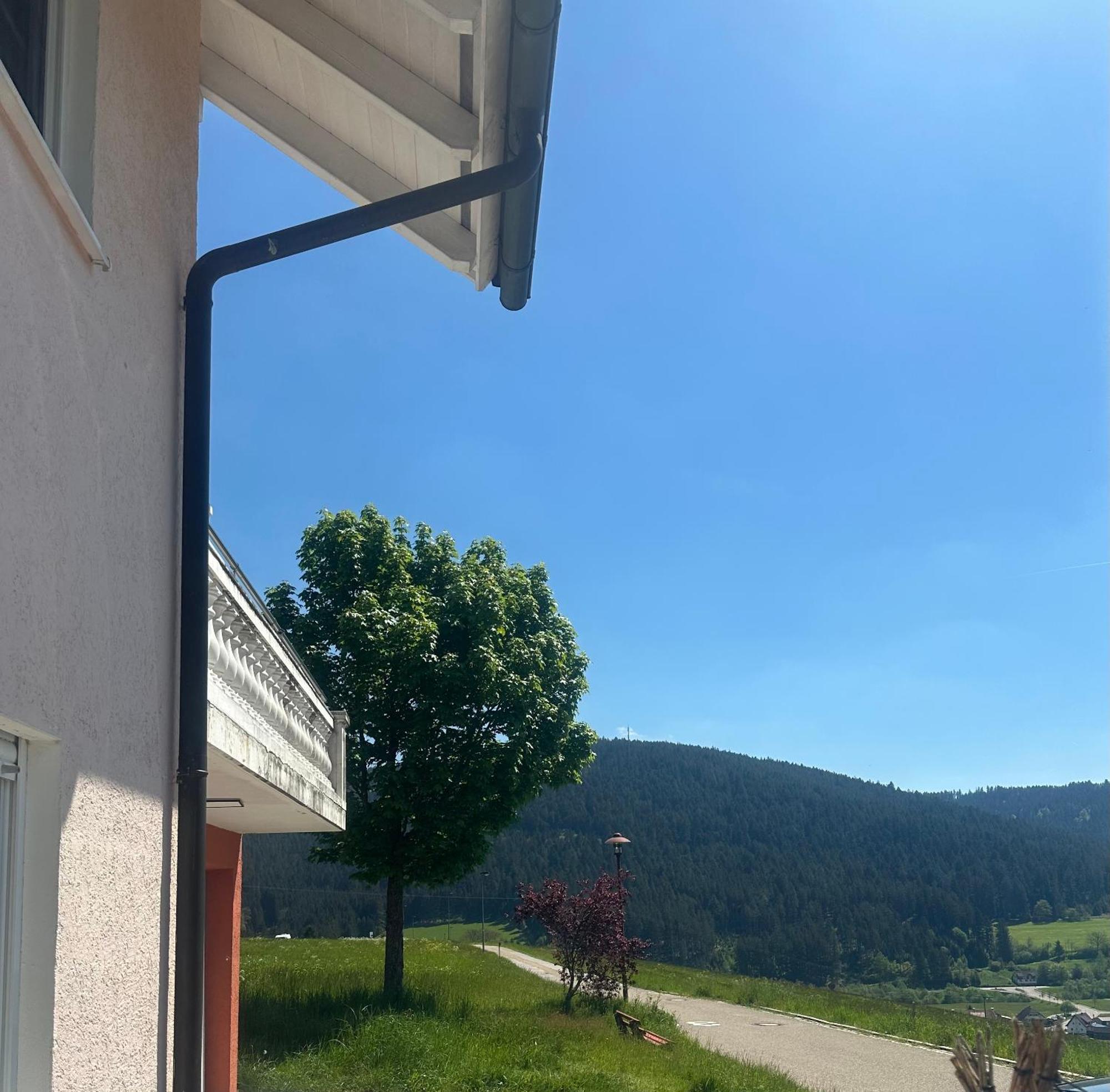 Natalie Lägenhet Baiersbronn Exteriör bild